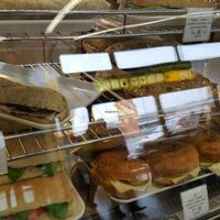 savoury at TXL - In.tegrale - TA in Berlin