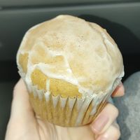 Vegan pumpkin spice muffin at Coffee Plant Roaster in Eugene