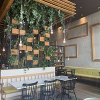 inside at Zielona in Lodz