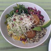 falafel bowl at Zielona in Lodz
