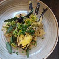 fennel & risotto at WILD in Antwerpen