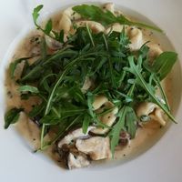 Tortellini ind creamy mushrooms at Geiers Gambrinus in Ganserndorf