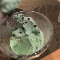 Mint choc chip ice cream at Go Zen in New York City