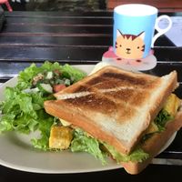 Tofu toast sandwich at Jack's Cat Cafe in Hoi An