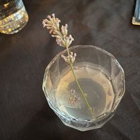   at Harvest Beat in Seattle