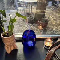   at Harvest Beat in Seattle