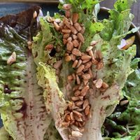 Gem lettuce salad  at Harvest Beat in Seattle