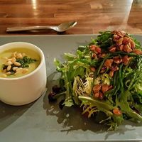 Salad at Harvest Beat in Seattle