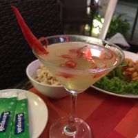 Daffy Duck  at Piccolo Thai Food & Wine in Isola Del Giglio