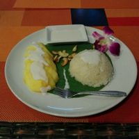 Mango sticky rice at Piccolo Thai Food & Wine in Isola Del Giglio