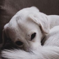  at La Studio in Hanoi