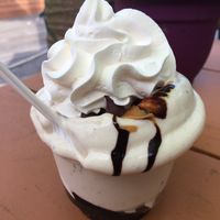 Chocolate pnut butter whip at Bashful Banana in Ocean City