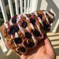 Lemon Blueberry Scone at Bashful Banana in Ocean City