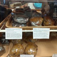 Bashful Banana at Bashful Banana in Ocean City