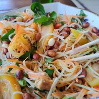 Vegan Green Mango & Papaya Salad with Tofu or Tempeh, a must try at Simple Things in Kampot