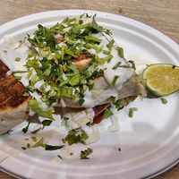 Burrito at Vegan Love in Budapest