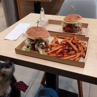 Reka, the mudi-mix, heroically trying to prevent his dad from getting too fat. 😅 at Vegan Love in Budapest