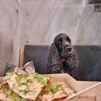 Chick'n quesadilla with my friend, Smiley at Vegan Love in Budapest