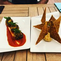 Our starters at Eqvita in 