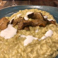 Vegan porcini risotto at Rifugio Romano in Rome