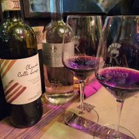 Chianti Colli Vegan at Rifugio Romano in Rome