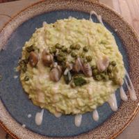 Vegan pea & fava beans risotto ( asked without Jerusalem artichoke) at Rifugio Romano in Rome