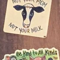  at Rifugio Romano in Rome