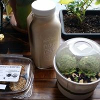 divine lunch at Sun & Soil Juice Company in Sacramento