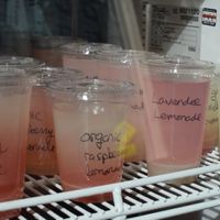 drinks at Mighty-O Donuts - Capitol Hill in Seattle