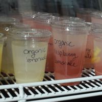 more drinks at Mighty-O Donuts - Capitol Hill in Seattle