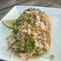   at Cafe Wylde in Everett