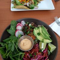Jackfruit salad & tacos at Cafe Wylde in Everett