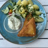 Fried cheese with potato and tartar Sauce  at Herbivore in Prague
