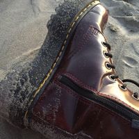 Badass vegan docs at Herbivore Clothing in Portland