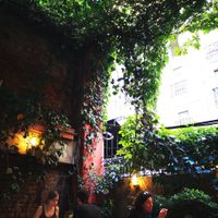 . at Zencefil in Istanbul