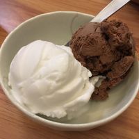 Dark chocolate and coconut ice cream  at VegCafe in Central Singapore