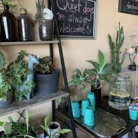 Free lemon water at The Urban Coffee House in Busselton