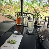   at The Fat Frog in Langkawi