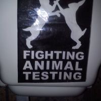 Go vegan! Love animals ! at Chiccas in Praia Da Luz