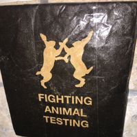 in washroom.   at Chiccas in Praia Da Luz