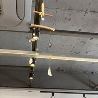  at DalYang - Sweet Kitten 달냥 in Seoul