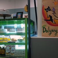 Interior of location, view towards display and cashier. at DalYang - Sweet Kitten 달냥 in Seoul