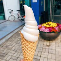 Our AMAZING soft serve at DalYang - Sweet Kitten 달냥 in Seoul