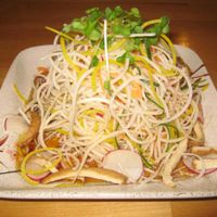 Shredded salad at Cha-Ya in San Francisco