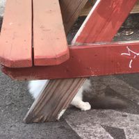   at Jam on Hawthorne in Portland