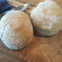 Homemade sourdough bread at Zilte Zoen in Schoorl
