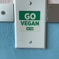 YES at Comet 984 in Playa Del Carmen