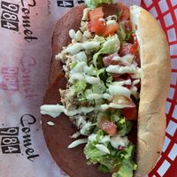 Tofu sandwich, very tasty   at Comet 984 in Playa Del Carmen