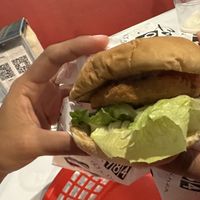 Chicken Run   at Comet 984 in Playa Del Carmen