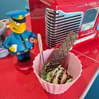 peppermint with chocolate chips ice cream at Comet 984 in Playa Del Carmen